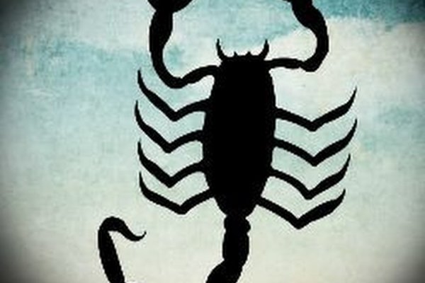 Kraken tor link