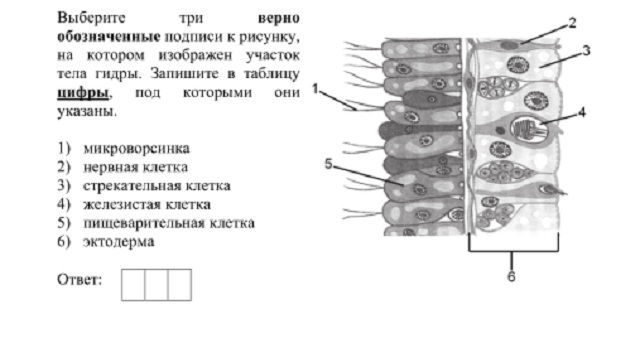 Кракен kr2connect co