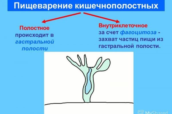 Kraken ссылка kraken link24 info
