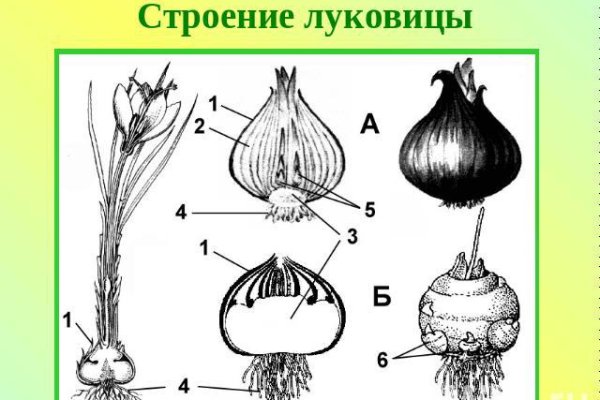 Kraken смылка