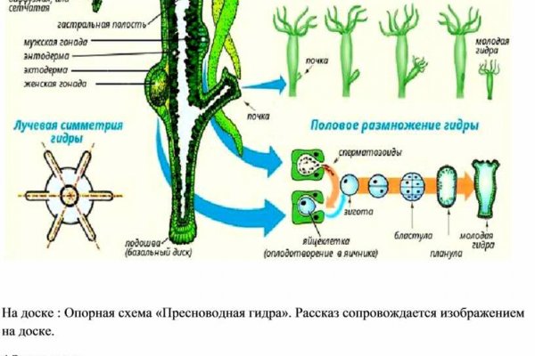 Kra34.cc Вход на сайт главная страница