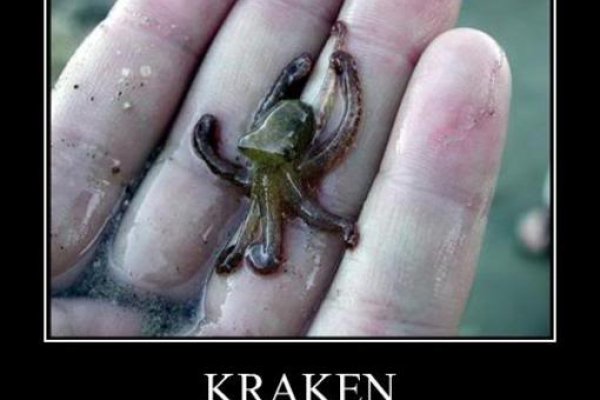 Кракен даркнет store kraken dark link