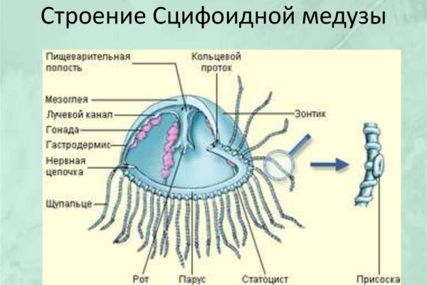 Тор браузер кракен