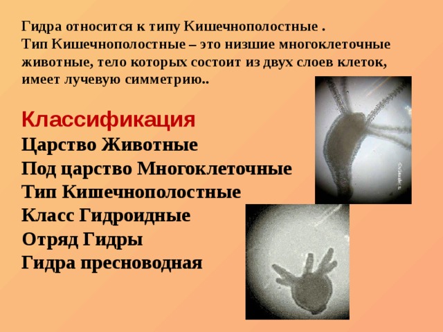 Наркосайт кракен