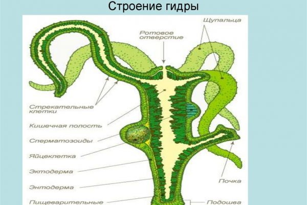 Кракен маркет плей