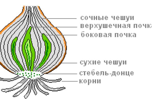 Ссылки на кракен маркетплейс