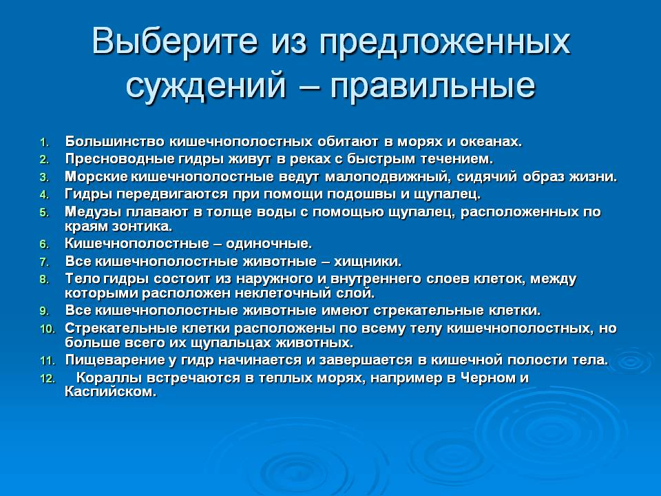 Кракен маркетплейс реклама текст